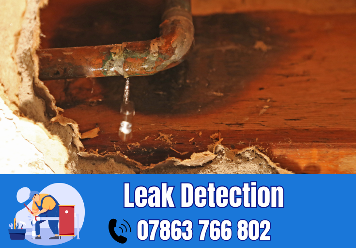 leak detection Newton-le-Willows