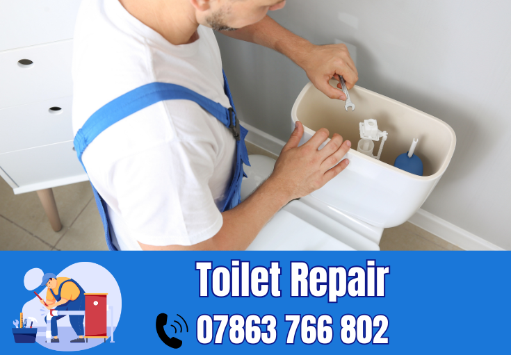 toilet repair Newton-le-Willows